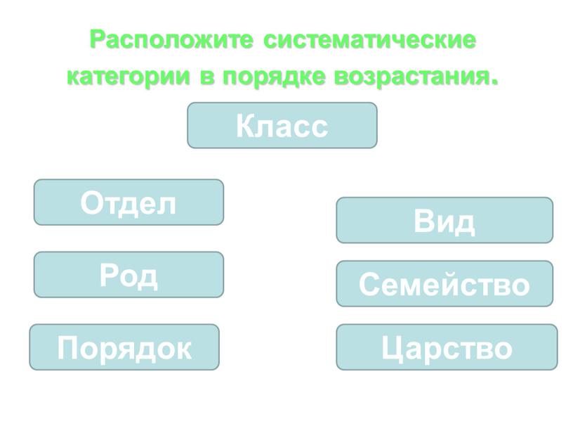 Расположите систематические категории в порядке возрастания