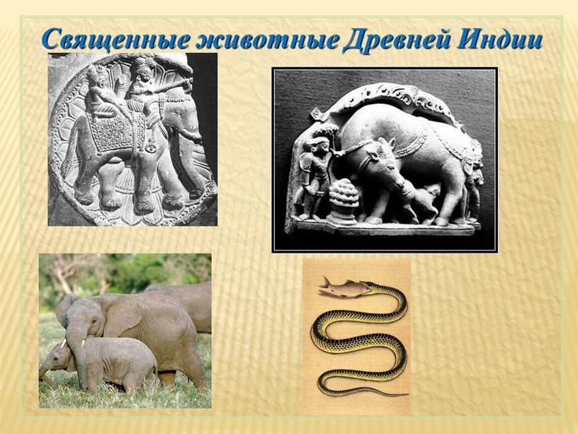 Священные животные Древней Индии