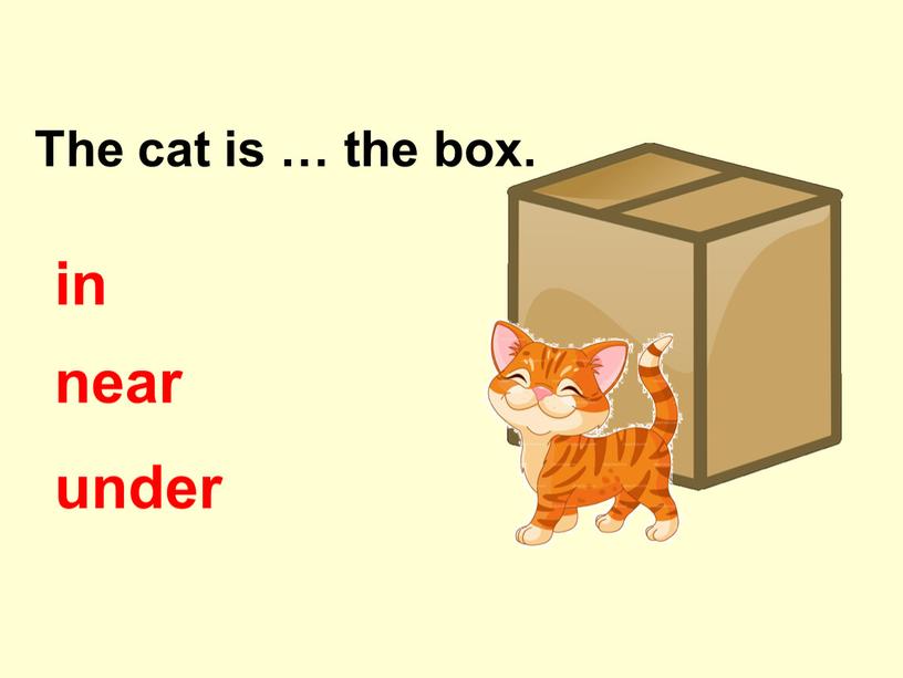 The cat is … the box. in near under