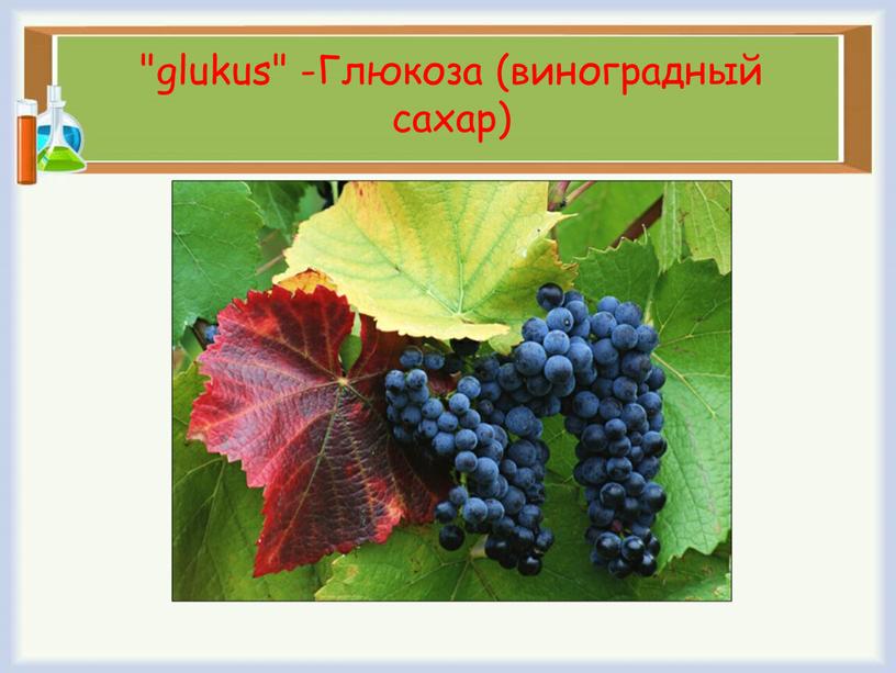 "glukus" -Глюкоза (виноградный сахар)