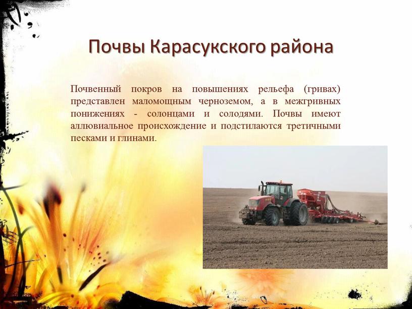Почвы Карасукского района Почвенный покров на повышениях рельефа (гривах) представлен маломощным черноземом, а в межгривных понижениях - солонцами и солодями