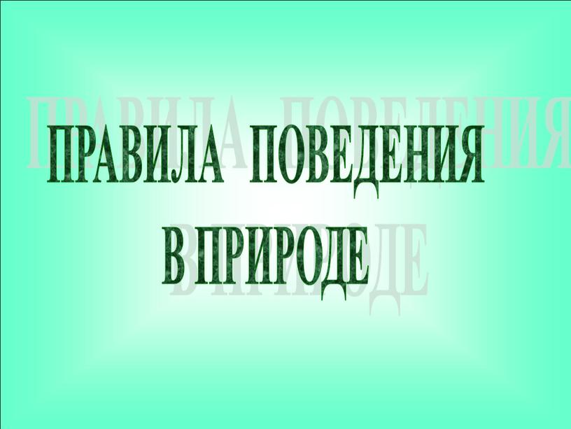 ПРАВИЛА ПОВЕДЕНИЯ В ПРИРОДЕ