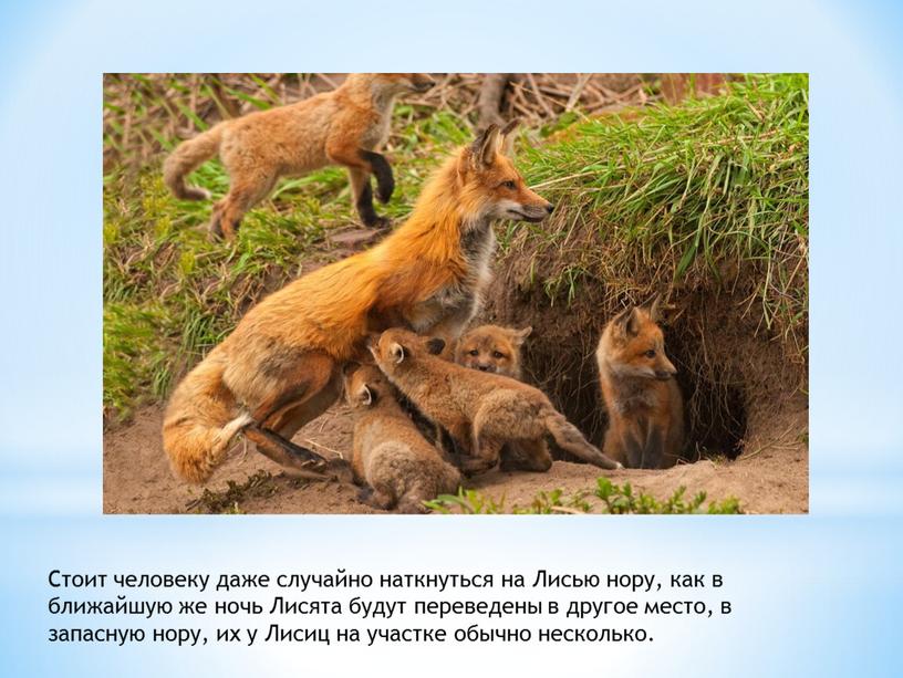 Стоит человеку даже случайно наткнуться на