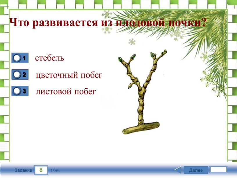 Задание Что развивается из плодовой почки? стебель цветочный побег листовой побег