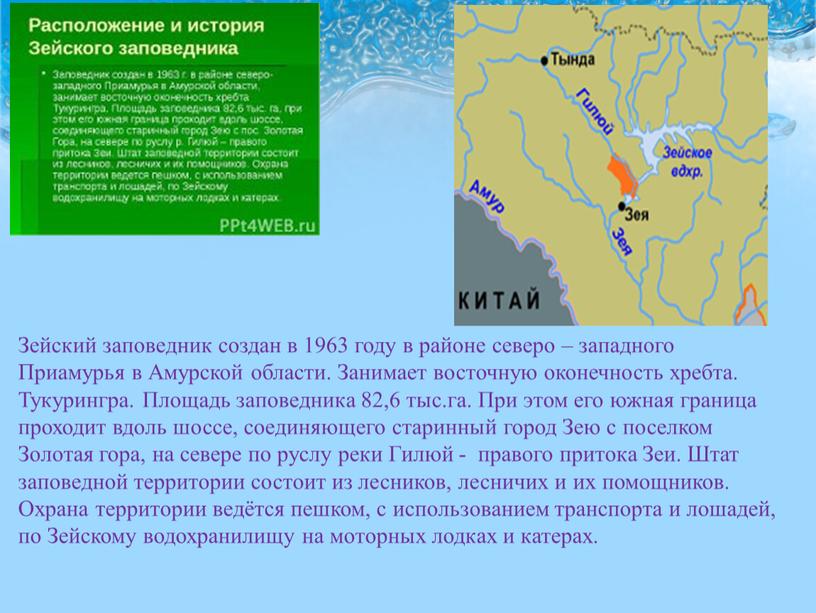 Зейский заповедник создан в 1963 году в районе северо – западного