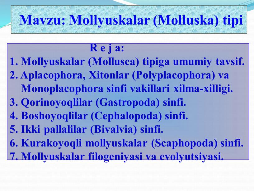 Mavzu: Mollyuskalar (Molluska) tipi