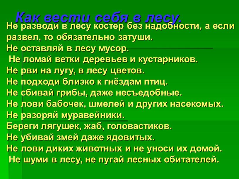 Как вести себя в лесу. Не разводи в лесу костер без надобности, а если развел, то обязательно затуши