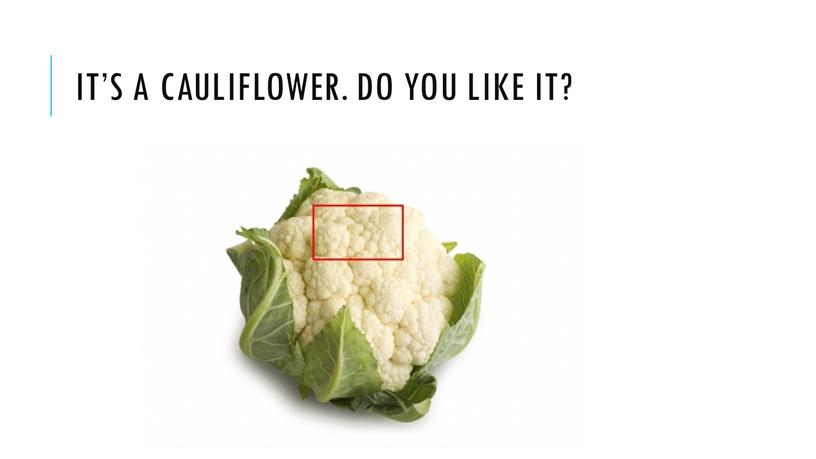 It’s a cauliflower. Do you like it?
