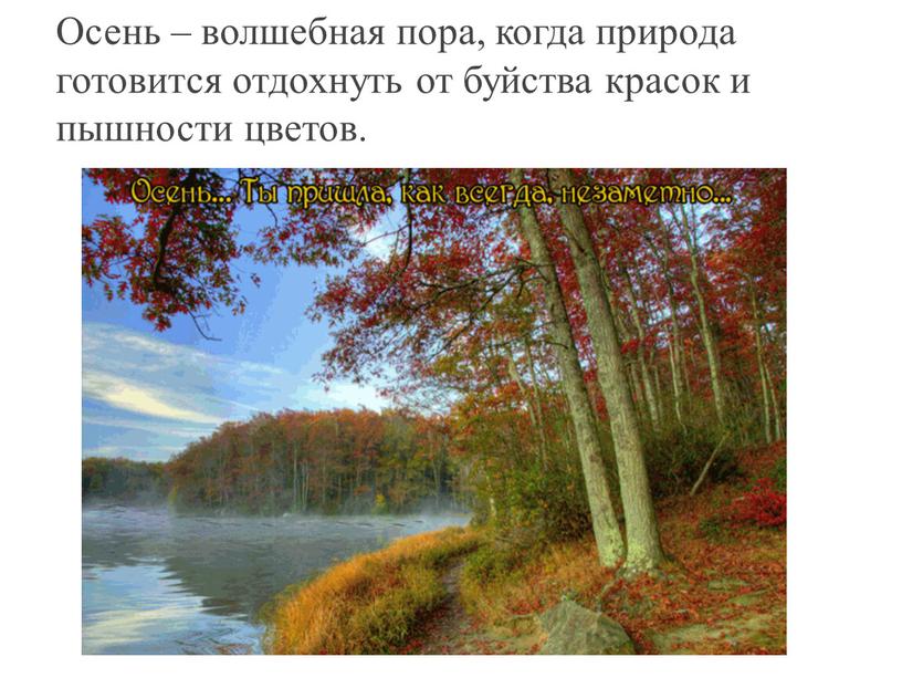 Осень – волшебная пора, когда природа готовится отдохнуть от буйства красок и пышности цветов