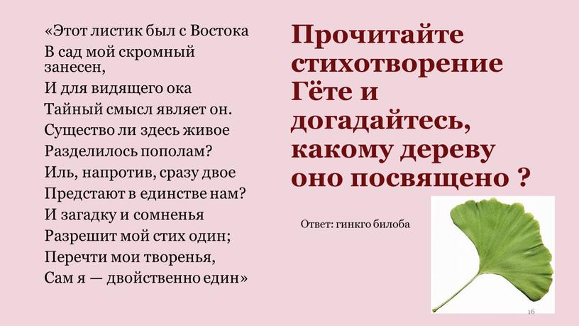 Прочитайте стихотворение Гёте и догадайтесь, какому дереву оно посвящено ? «Этот листик был с