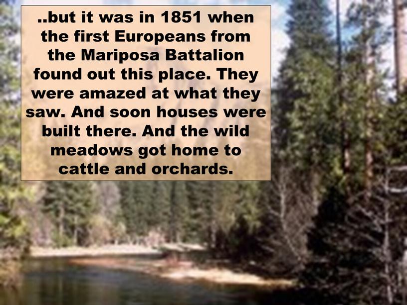 Europeans from the Mariposa Battalion found out this place
