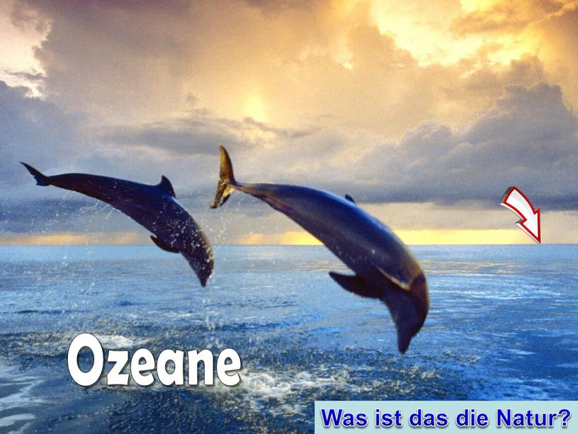 Ozeane Was ist das die Natur?