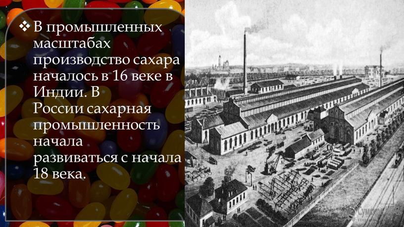 В промышленных масштабах производство сахара началось в 16 веке в