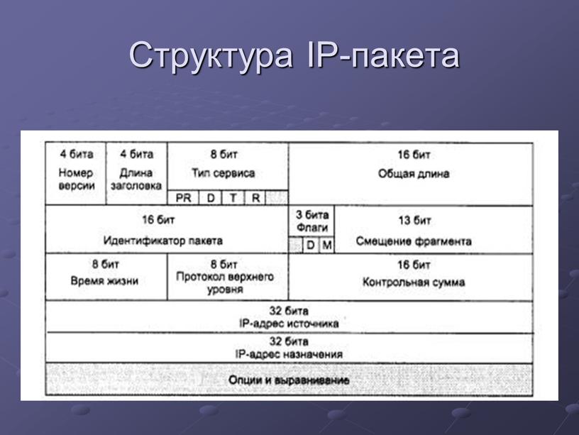 Структура IP-пакета
