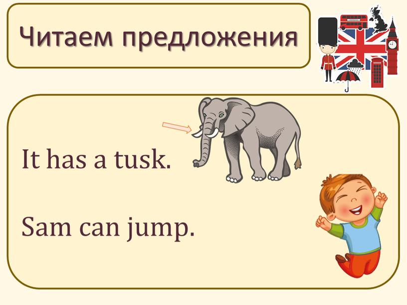 Читаем предложения It has a tusk