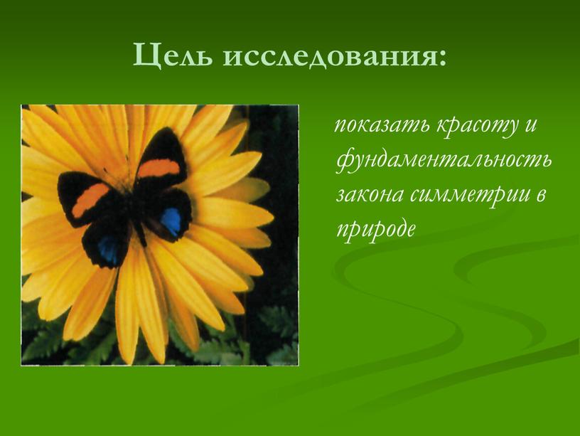 Цель исследования: показать красоту и фундаментальность закона симметрии в природе