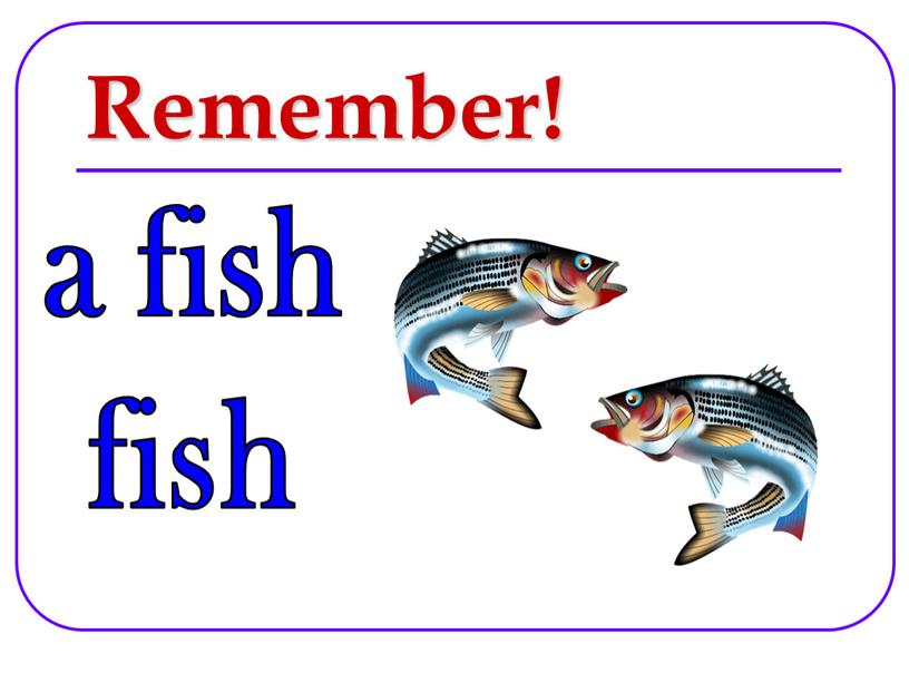 Remember! a fish fish