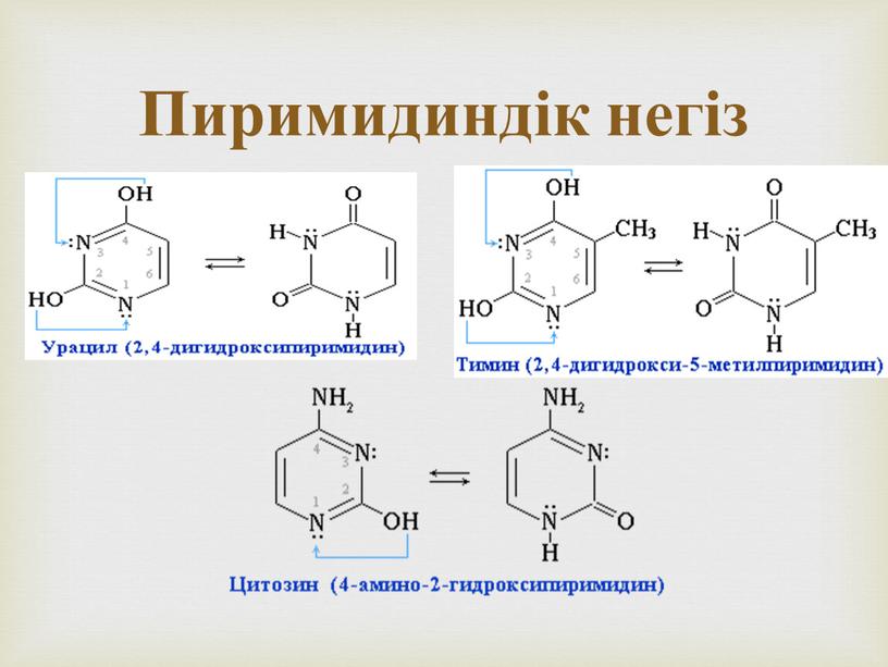 Пиримидиндік негіз