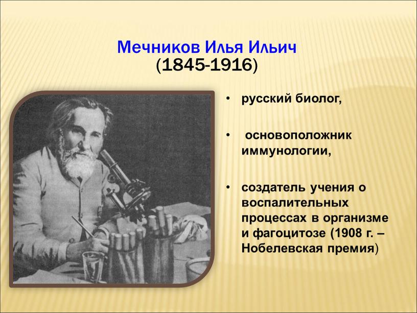 Мечников Илья Ильич (1845-1916) русский биолог, основоположник иммунологии, создатель учения о воспалительных процессах в организме и фагоцитозе (1908 г