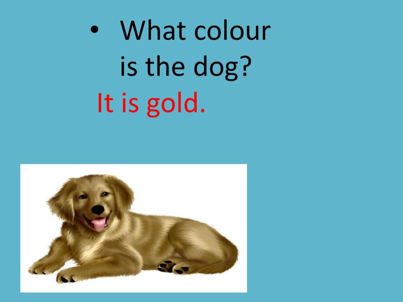 What colour is the dog? It is gold