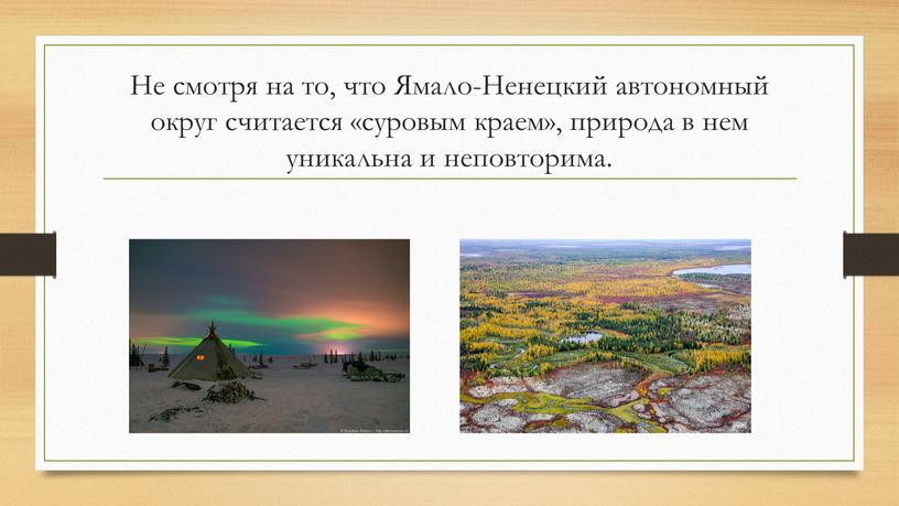 Не смотря на то, что Ямало-Ненецкий автономный округ считается «суровым краем», природа в нем уникальна и неповторима