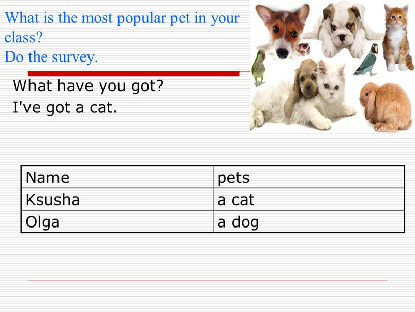 What is the most popular pet in your class?
