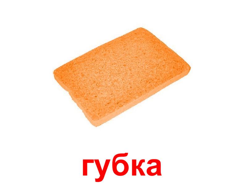 губка