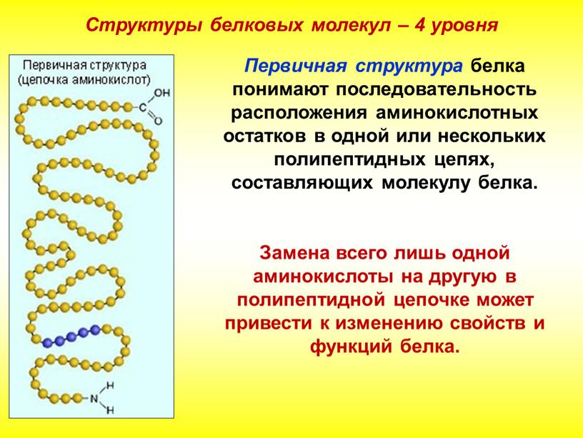 Первичная структура белка понимают последовательность расположения аминокислотных остатков в одной или нескольких полипептидных цепях, составляющих молекулу белка