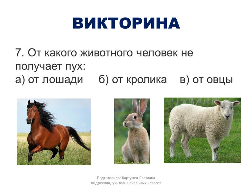 ВИКТОРИНА 7. От какого животного человек не получает пух: а) от лошади б) от кролика в) от овцы