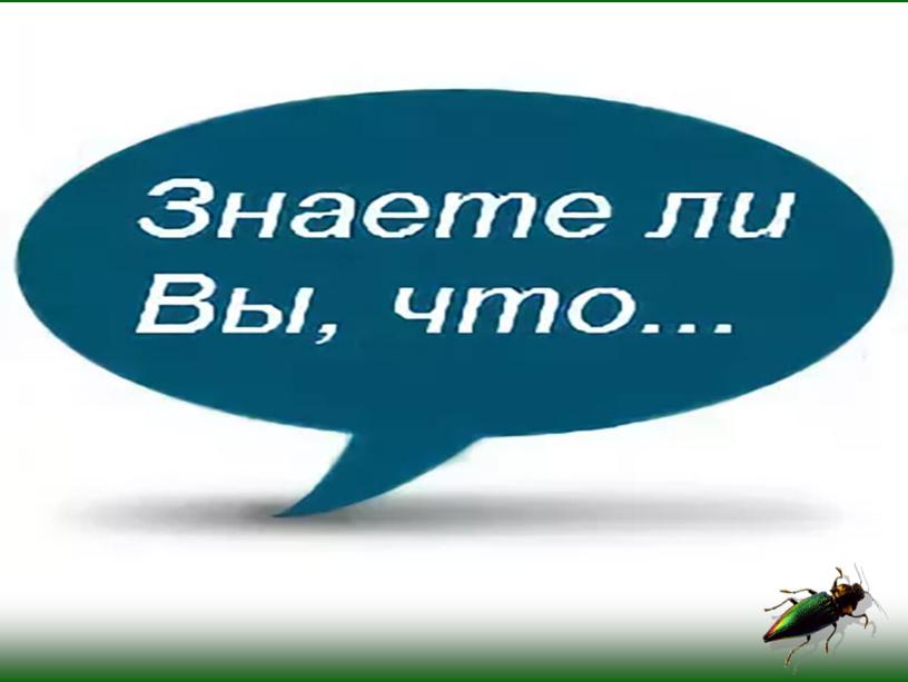 Урок по окружающему миру на тему "Маленькие рыцари" (презентация)