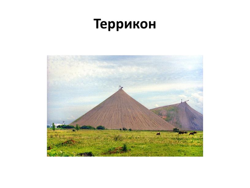 Террикон