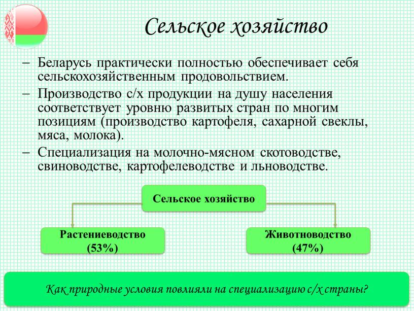 Сельское хозяйство Как природные условия повлияли на специализацию с/х страны?