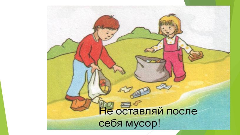 «Анализ воздействия человека на экосистемы и их компоненты, снижение негативных последствий человеческой деятельности»