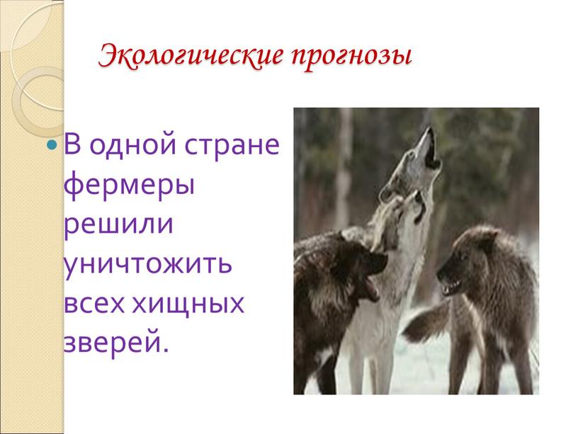 Экологические прогнозы В одной стране фермеры решили уничтожить всех хищных зверей