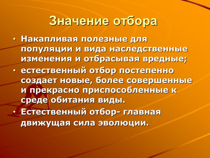 Значение отбора Накапливая полезные для популяции и вида наследственные изменения и отбрасывая вредные; естественный отбор постепенно создает новые, более совершенные и прекрасно приспособленные к среде…