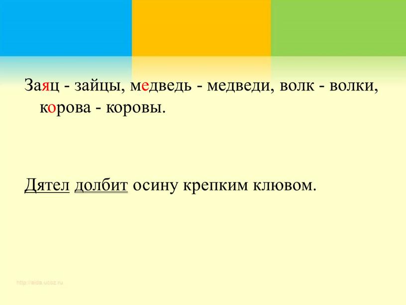 Заяц - зайцы, медведь - медведи, волк - волки, корова - коровы