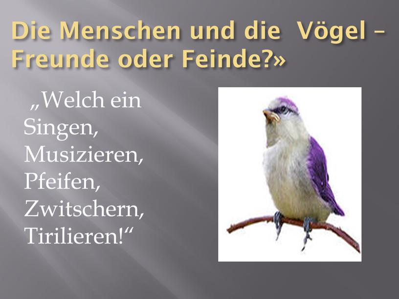 Die Menschen und die Vögel –