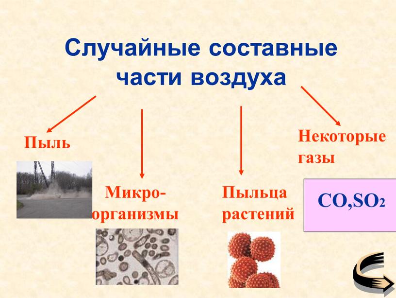 Пыль Микро-организмы Пыльца растений