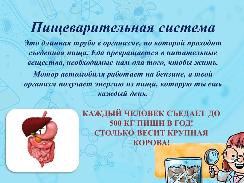 Каждый человек съедает до 500 кг пищи в год!