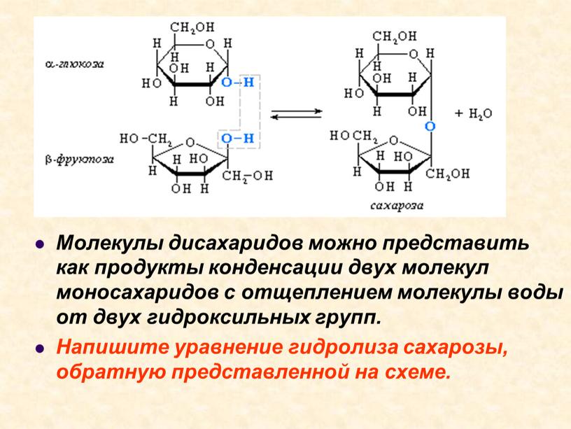 Молекулы дисахаридов можно представить как продукты конденсации двух молекул моносахаридов с отщеплением молекулы воды от двух гидроксильных групп
