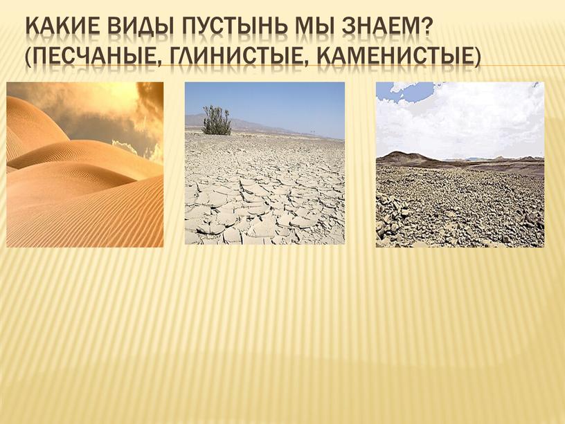 Какие виды пустынь мы знаем? (Песчаные, глинистые, каменистые)