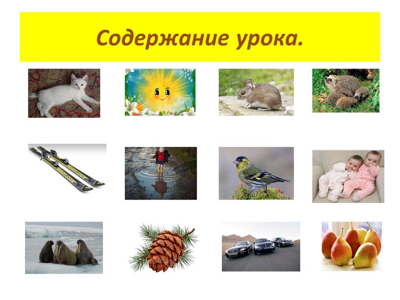 Содержание урока.