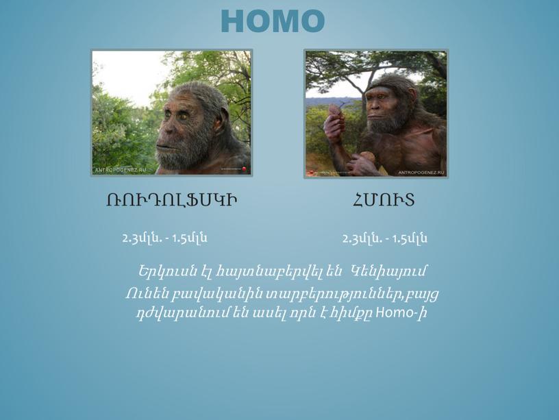 HOMO Երկուսն էլ հայտնաբերվել են Կենիայում Ունեն բավականին տարբերություններ,բայց դժվարանում են ասել որն է հիմքը