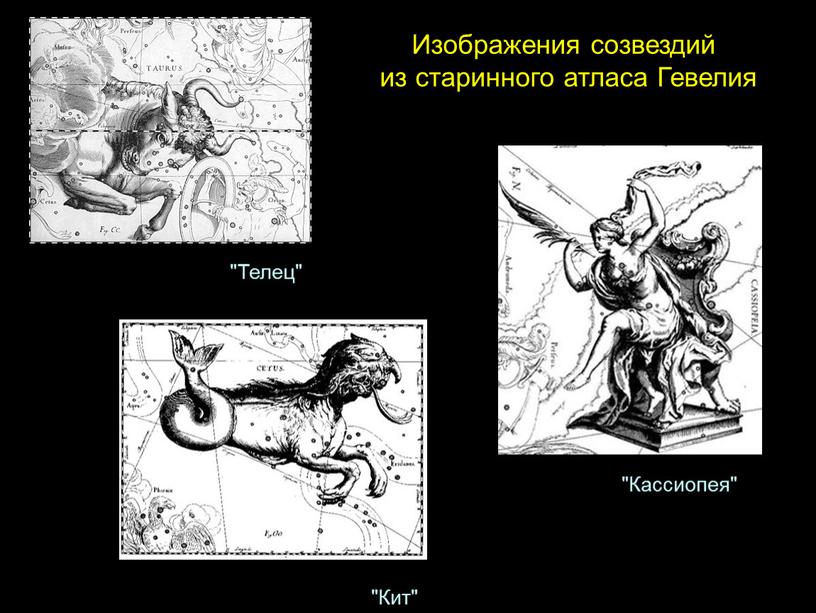 Изображения созвездий из старинного атласа