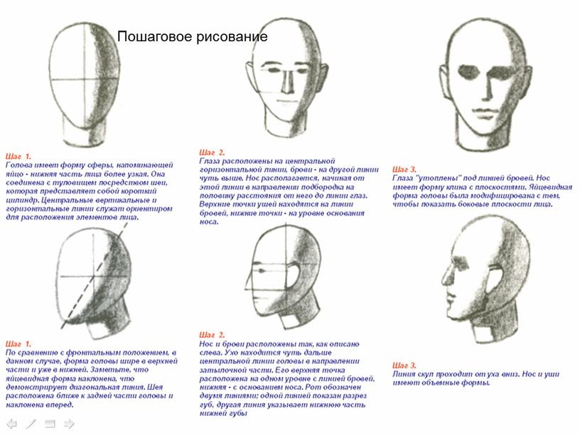 Пошаговое рисование