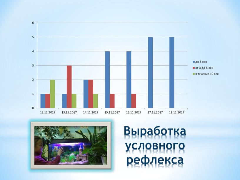 Выработка условного рефлекса