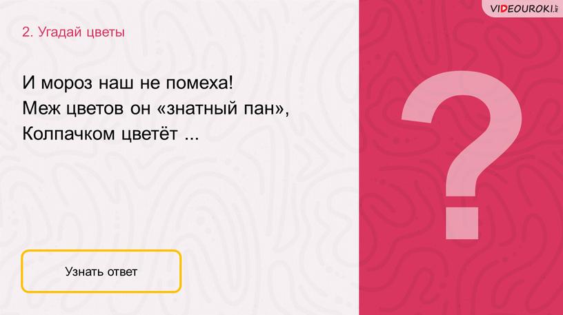 Угадай цветы Узнать ответ И мороз наш не помеха!