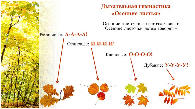 Дыхательная гимнастика «Осенние листья»