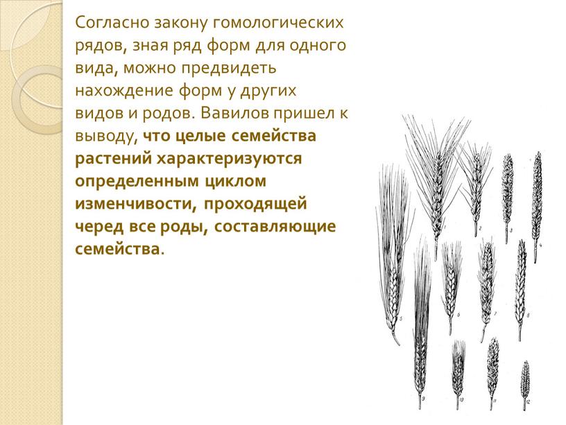 Согласно закону гомологических рядов, зная ряд форм для одного вида, можно предвидеть нахождение форм у других видов и родов