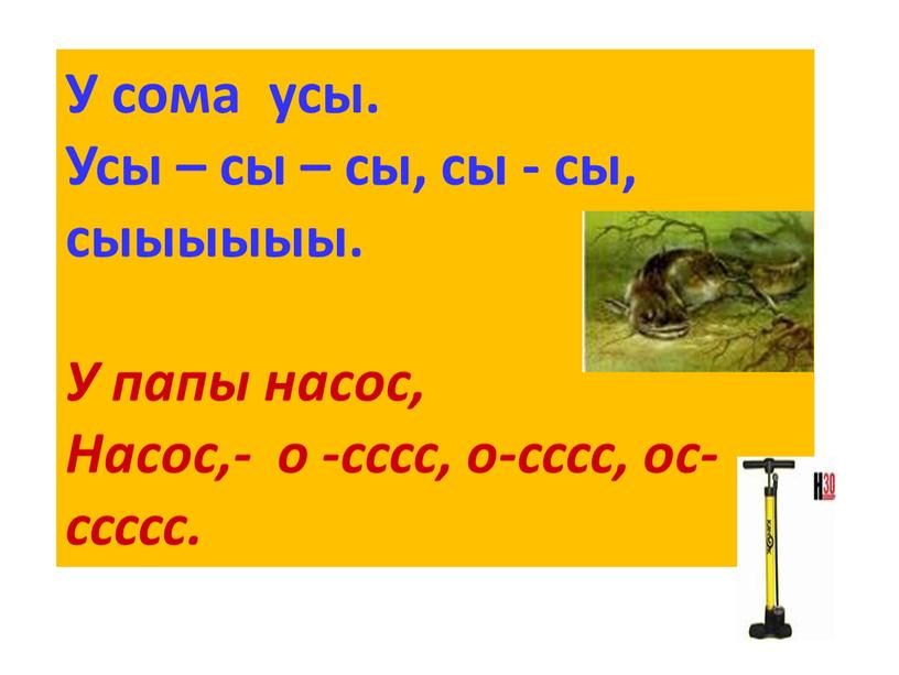 У сома усы. Усы – сы – сы, сы - сы, сыыыыыы